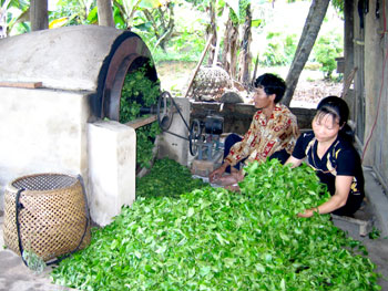 Xanh thắm một miền quê